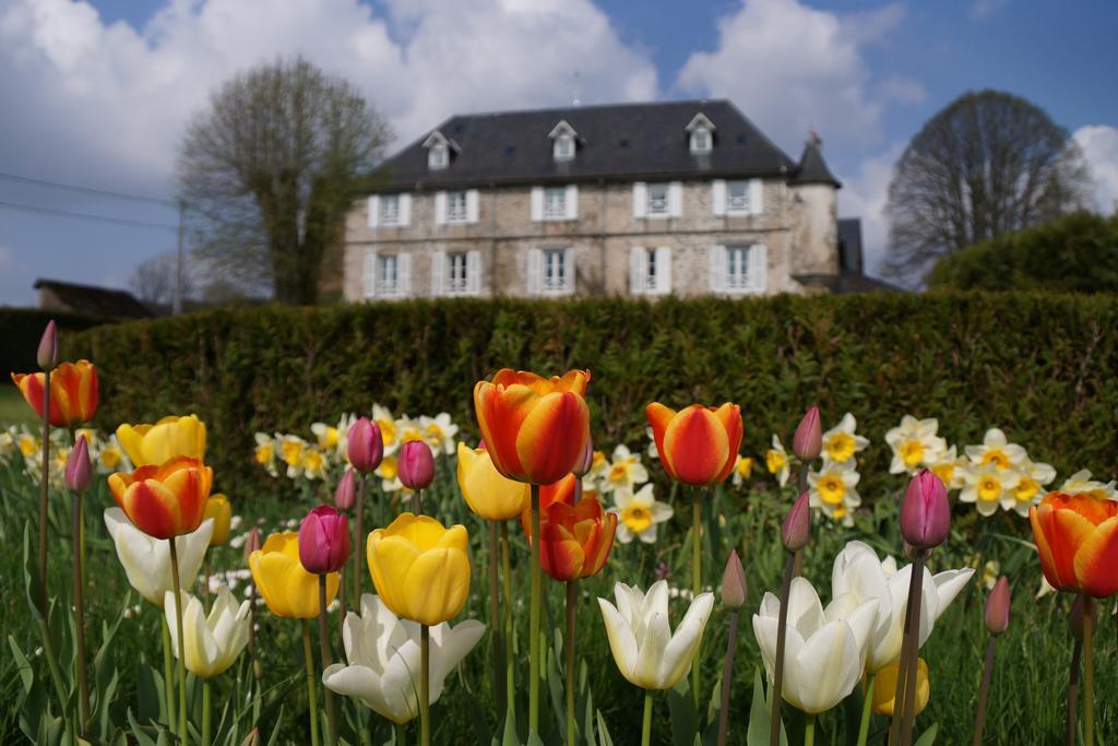 Chateau De Savennes - Caveau De Sabrage Ngoại thất bức ảnh